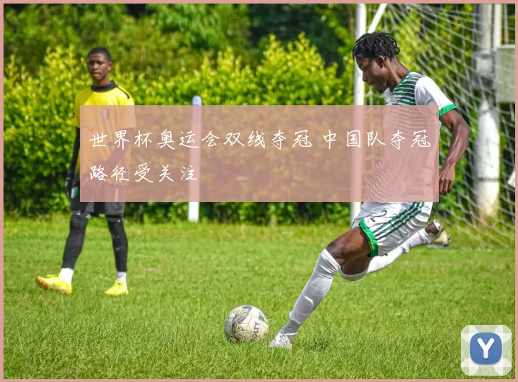 世界杯奥运会双线夺冠 中国队夺冠路径受关注