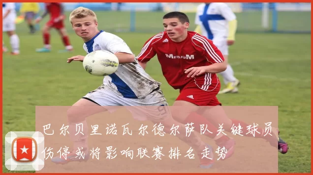 巴尔贝里诺瓦尔德尔萨队关键球员伤停或将影响联赛排名走势