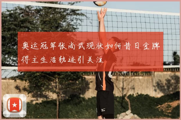 奥运冠军张尚武现状如何昔日金牌得主生活轨迹引关注