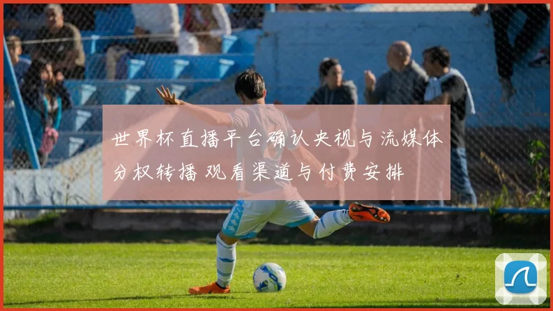 世界杯直播平台确认央视与流媒体分权转播 观看渠道与付费安排