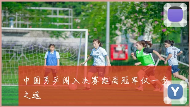 中国男乒闯入决赛距离冠军仅一步之遥