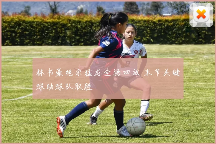 林书豪绝杀猛龙全场回放 末节关键球助球队取胜