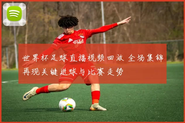 世界杯足球直播视频回放 全场集锦再现关键进球与比赛走势